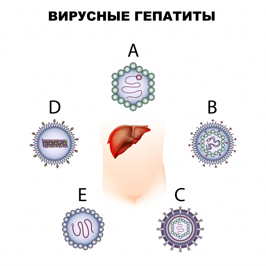 15.12.2023Вирусные гепатиты - ГУ 