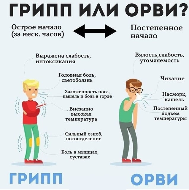 Грипп - в России: штамм, симптомы, лечение